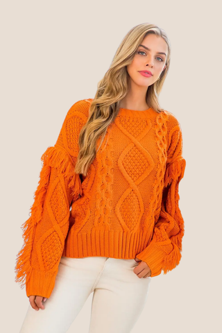 Knit Fringe Sleeve Sweater