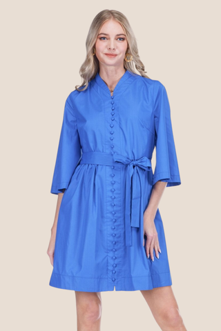 Trim Buttons Dress