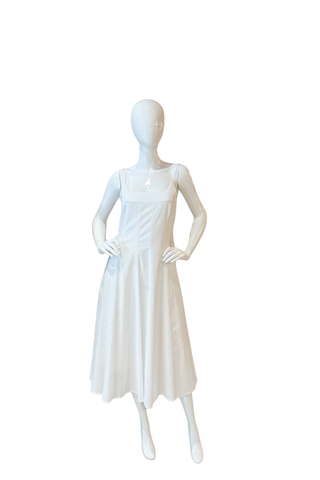 Fitted &  Flared Sundress