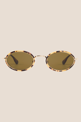 Kate 12K Nikko Tortoise