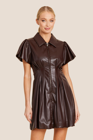 Coffee Shortsleeve Zip Front Dress