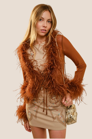 Long Sleeve Mesh Top with Feather Trim